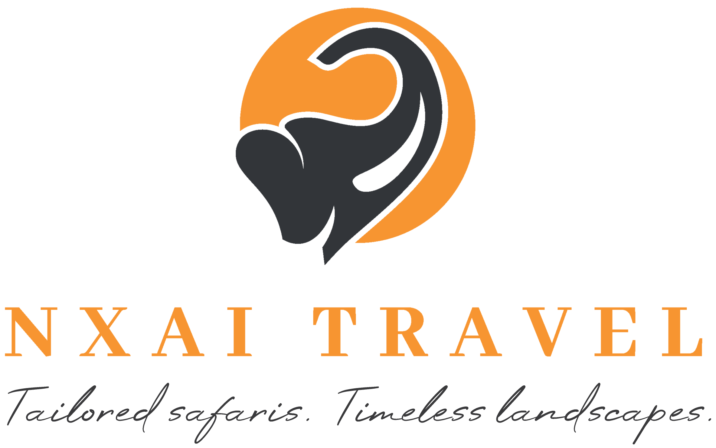 NXAI TRAVEL DMC logo